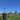 When Wine Meets Selfica: The Falzari Winery Experiment