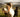 Healing Horses with Selfica: A New Path of Connection and Energy