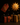 Promo and Bundles